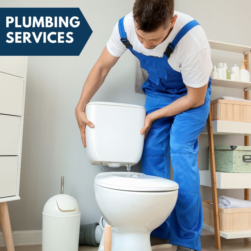 Plumbing Company in Pleasant Plains, IL